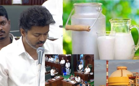 போராட்டங்களுக்கு அடிபணிந்த அரசு! மீண்டும் பால் கொள்முதல் விலை உயர்வு!