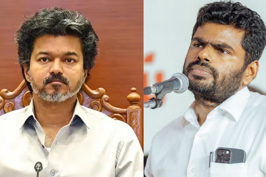 தவெகவுக்கு குறி....அண்ணாமலை போடும் மாஸ்டர் பிளான் என்ன?