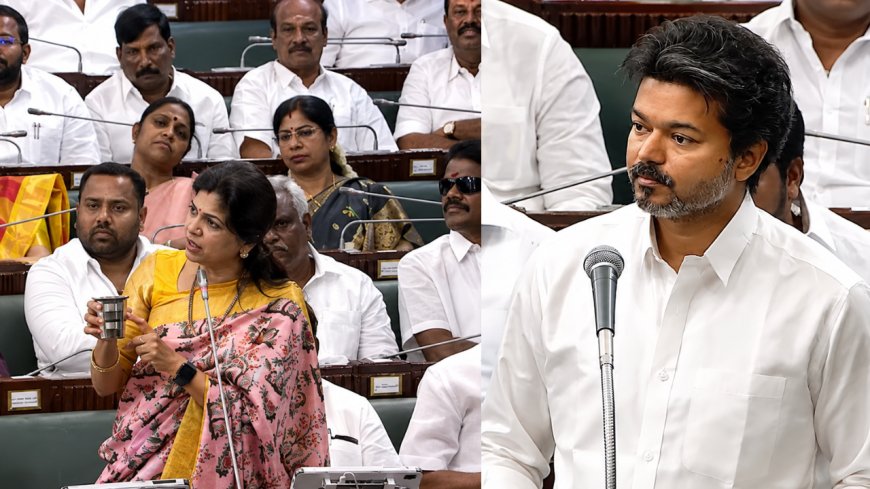 விஜய் செய்யறது தேவையில்லாதது...... அட்வைஸ் கொடுத்த சவுமியா!