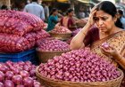 இல்லத்தரசிகளுக்கு ஷாக்.. செஞ்சுரி அடித்த சின்ன வெங்காயம் விலை...!