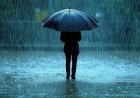 Weather Update: கனமழைக்கு வாய்ப்பு....எந்தெந்த மாவட்டங்களுக்கு அலெர்ட்?