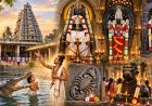 மக்களே சனிதோஷம் போகுனுமா?..அவிநாசி கோயிலின் வியக்க வைக்கும் சிறப்புகள்!