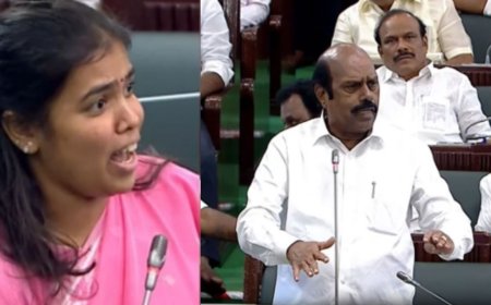 “ஊழல்... ஊழல்...” என ஒரே பாட்டு! தவெகவை வெளுத்து வாங்கிய எ.வ. வேலு!