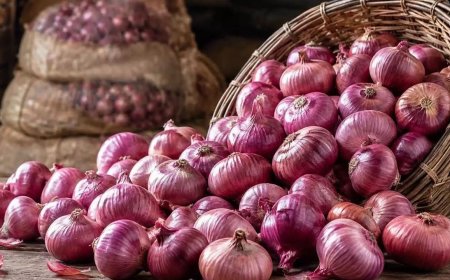 ஒரு கிலோ வெங்காயம் ரூ.35.... சென்னை ரேஷன் கடையில் தொடங்கிய விற்பனை..!
