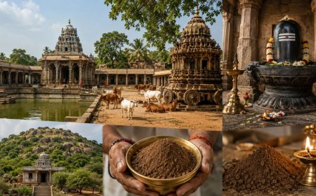 மண் பிரசாத மகிமை! திருக்கச்சூர் அதிசயம்!
