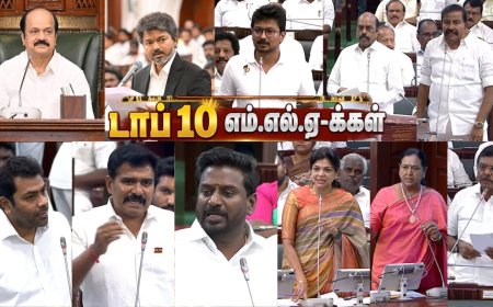 TN Assembly: அதிரடி பேச்சு முதல் அடாவடி நடவடிக்கை வரை...  மக்களை கவர்ந்த டாப் 10 எம்.எல்.ஏக்கள்!
