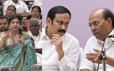 பகடைக் காயாக மாறும் சௌமியா?... கடந்த காலத்தை மறைக்கப் பார்க்கிறதா பாமக?