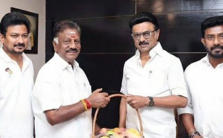 கண்டுக்கொள்ளாத கழகம்... ஓ.பி.எஸ். குடும்பத்தில் குடைச்சல்? தவெக தாவும் ரவீந்திரநாத்? 