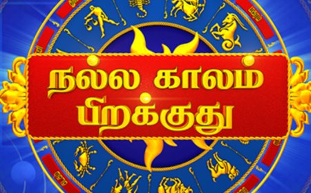 12 ராசிகளுக்கும் இன்று நாள் எப்படி இருக்கும்? முழு ராசிபலன் இதோ!