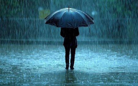 Weather Update: கனமழைக்கு வாய்ப்பு....எந்தெந்த மாவட்டங்களுக்கு அலெர்ட்?
