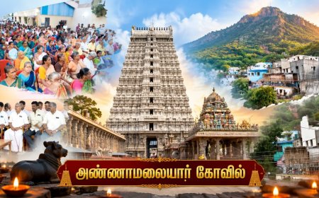 ஆக்ரமிப்பாளர்களின் பிடியில் அண்ணாமலையார் ! அகற்றச் சொல்லும் நீதிமன்றம் !