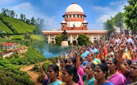 தமிழக அரசுக்கு குட்டு வைத்த உச்ச நீதிமன்றம் ! அரசின் இடையீட்டு மனுவின் தீர்ப்பு ஒத்திவைப்பு!