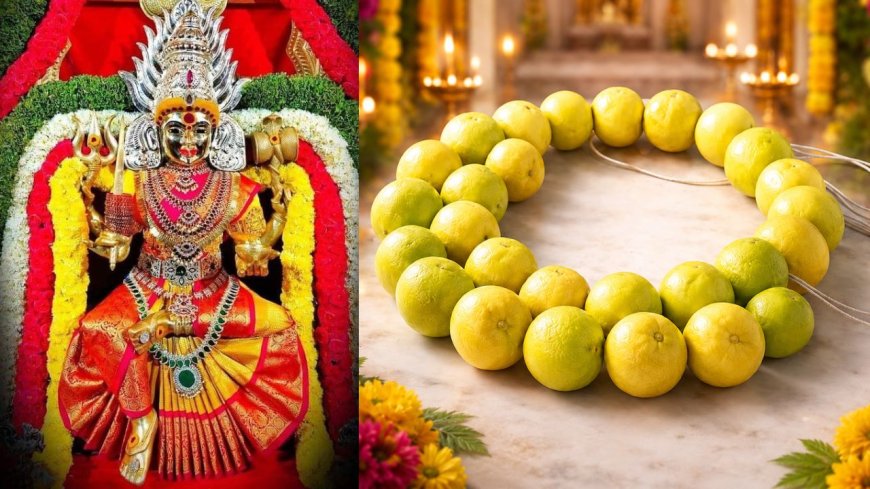 ஏழு எலுமிச்சை... அம்மன் அருள் கிடைக்க செய்ய வேண்டிய எளிய வழிபாடு!