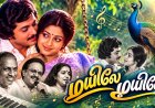 மயிலே மயிலே உன் தோகை இங்கே...ஜென்ஸி, எஸ்பிபி, இளையராஜா கூட்டணிப் பாட்டு!