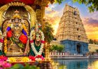 திருநின்றவூர் திருமகள்...என்னைப் பெற்ற தாயாரின் மகிமைகள்!