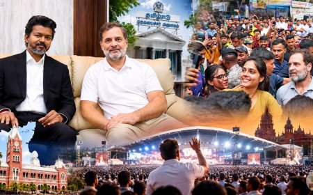 ராகுல்காந்தி சென்னை விசிட் ! விஜய்யுடன் நேரில் சந்திப்பு ! எகிறும் எதிர்பார்ப்பு !