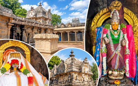 பணக்கஷ்டம் தீர வழிபட வேண்டிய ஸ்ரீநிதீஸ்வரர்... ஸ்ரீமுஷ்ணத்தில் இப்படி ஒரு அதிசயமா?