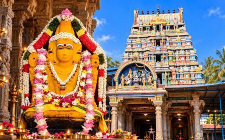 தலையெழுத்தையே மாற்றும் பிரம்மா... திருப்பட்டூர் கோயிலின் மகிமை தெரியுமா?