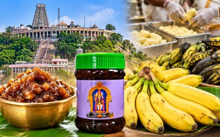 பழனி பஞ்சாமிர்தத்துக்காக இத்தனை கோடியா? வாழைப்பழ சப்ளைக்கு மெகா டெண்டர்!