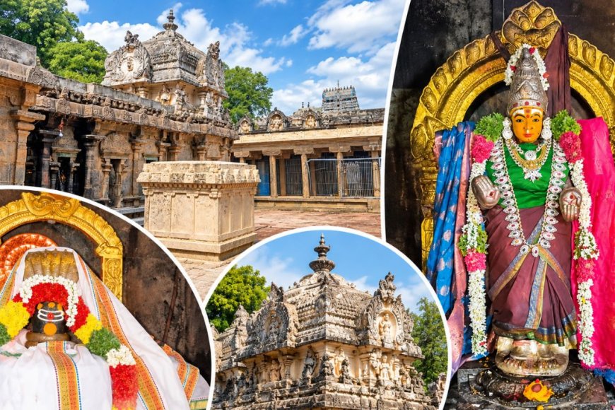 பணக்கஷ்டம் தீர வழிபட வேண்டிய ஸ்ரீநிதீஸ்வரர்... ஸ்ரீமுஷ்ணத்தில் இப்படி ஒரு அதிசயமா?