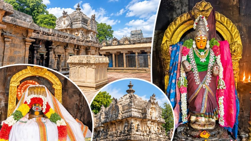 பணக்கஷ்டம் தீர வழிபட வேண்டிய ஸ்ரீநிதீஸ்வரர்... ஸ்ரீமுஷ்ணத்தில் இப்படி ஒரு அதிசயமா?